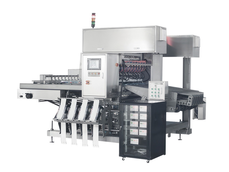 Multilane Wrapping Machine